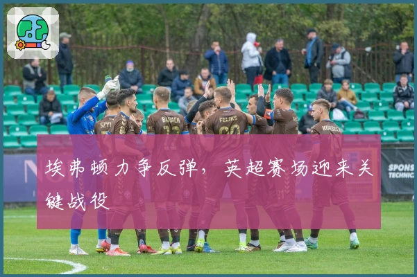 埃弗顿力争反弹,英超赛场迎来关键战役