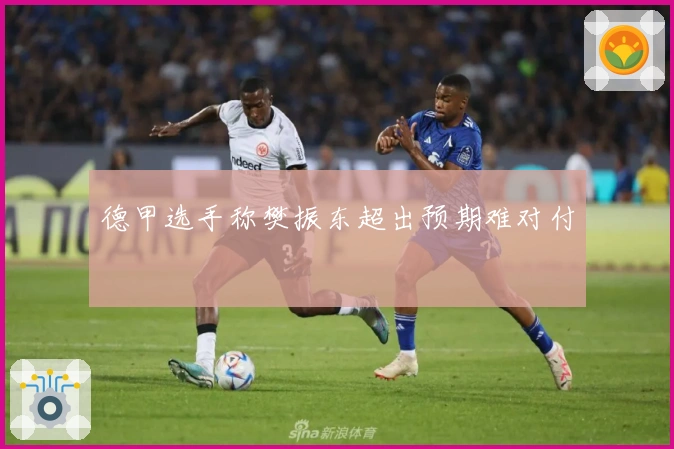 德甲选手称樊振东超出预期难对付